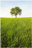 Center Of Gravity by DennisChunga