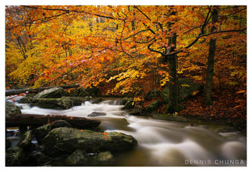 S T R E A M by DennisChunga