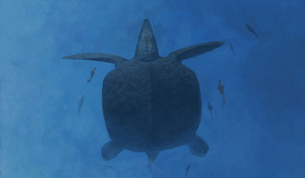 Prehistoric Life Favourites By Dinogod On DeviantArt