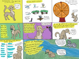 Warrior Cats: a Summary by an Outsider by latinforgoddess