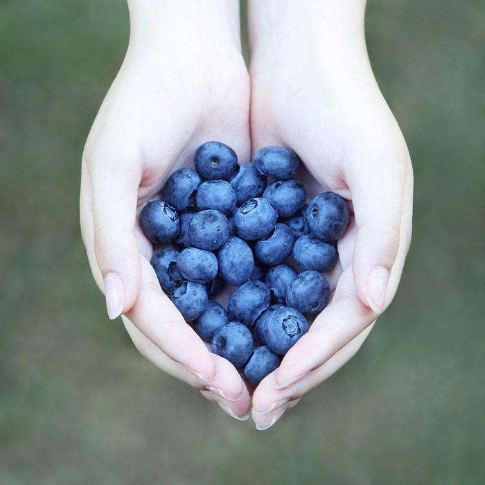Blueberry by vanillapearl