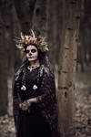 Santa Muerte by Lady-I-Hellsing
