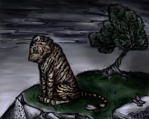 Lonely night by drTriche