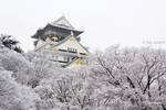 Osaka Castle in the snow by Tim-Wilko