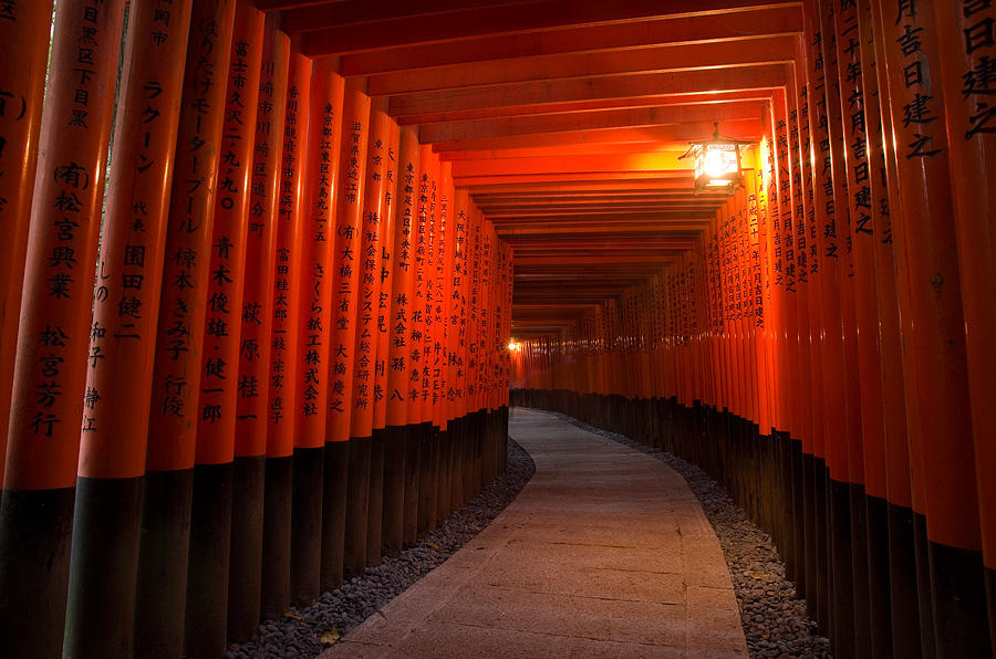 Fushigi-na-Fushimi by Tim-Wilko