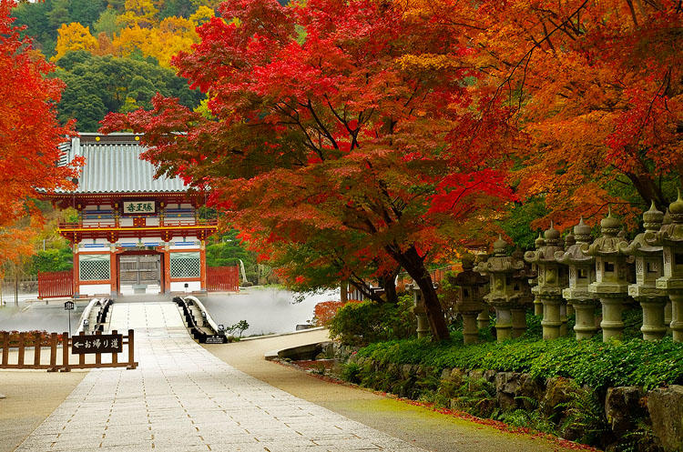 Katsuo-ji main gate by Tim-Wilko