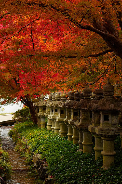 Katsuo-ji Lanterns by Tim-Wilko