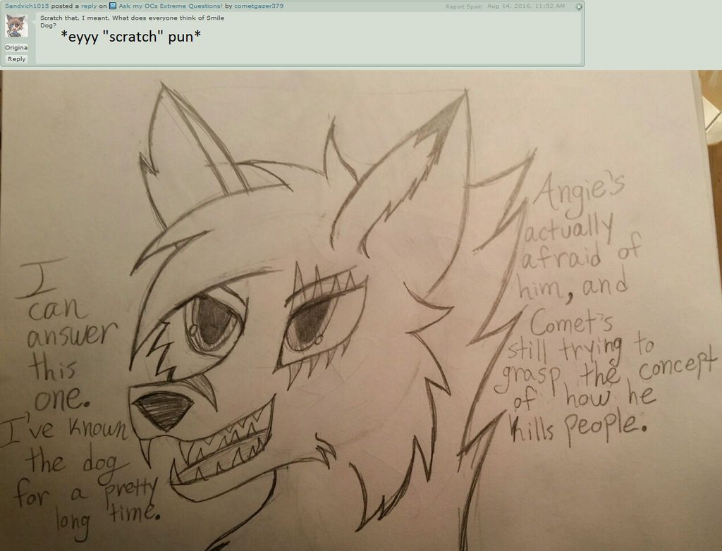 Ask Everyone #5 by cometgazer379