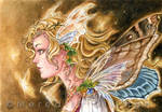 Glow Faery by MeredithDillman