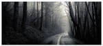 Into The Mist by sirgerg