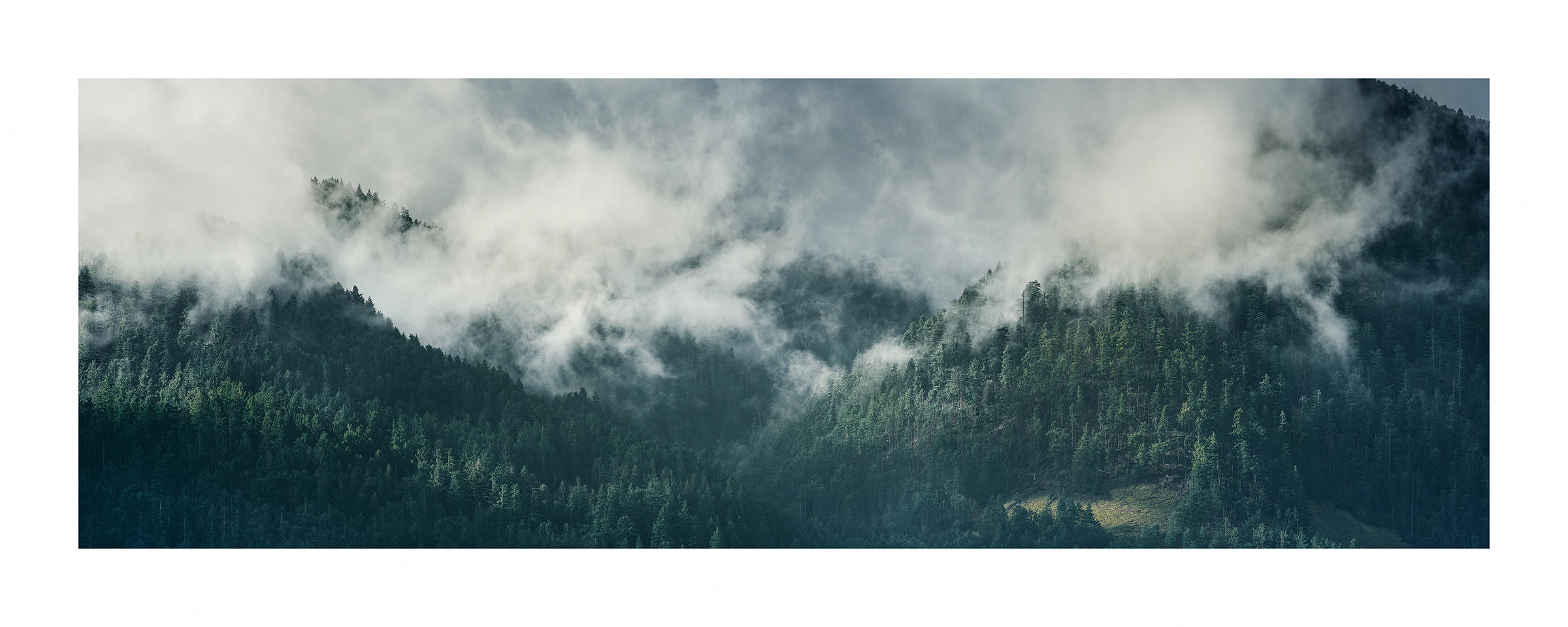 Trees and Mist by sirgerg