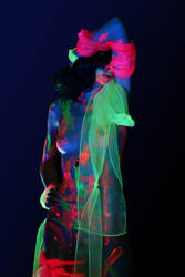Coy in Neon by AKrukowska