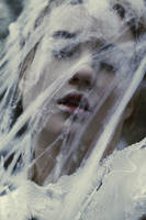 Entangled by fairyladyphotography