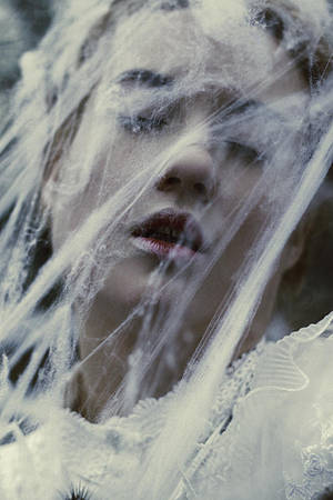 Entangled by fairyladyphotography Entangled by fairyladyphotography