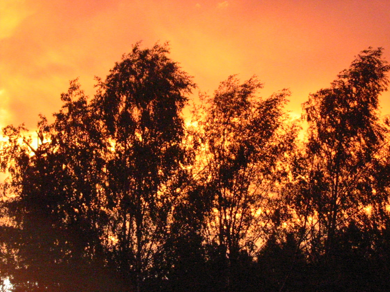 Burning Sky by UniMatrixZero