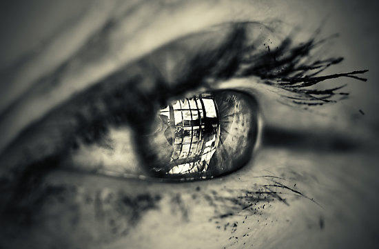 macro eyes by mario-10 macro eyes by mario-10