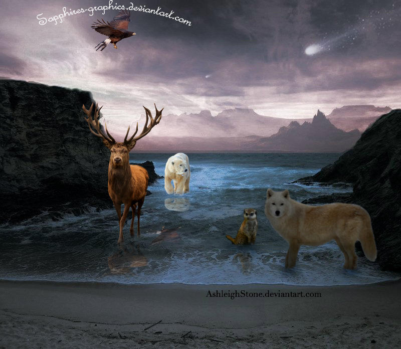 Dawn of a New Party by Sapphires-Graphics