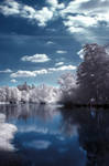 The Dark Tree II by nxxos
