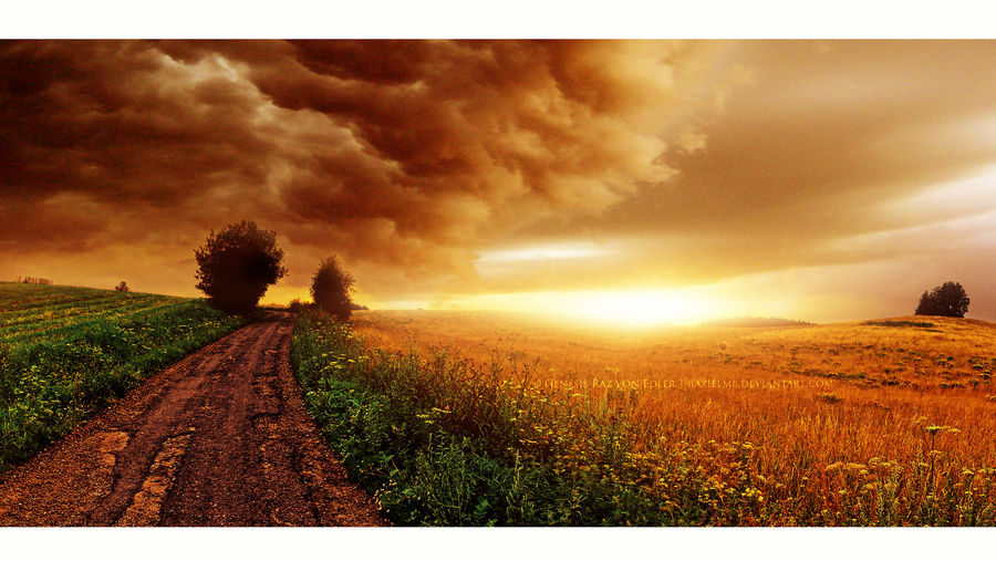 The last rays of light by Ellysiumn