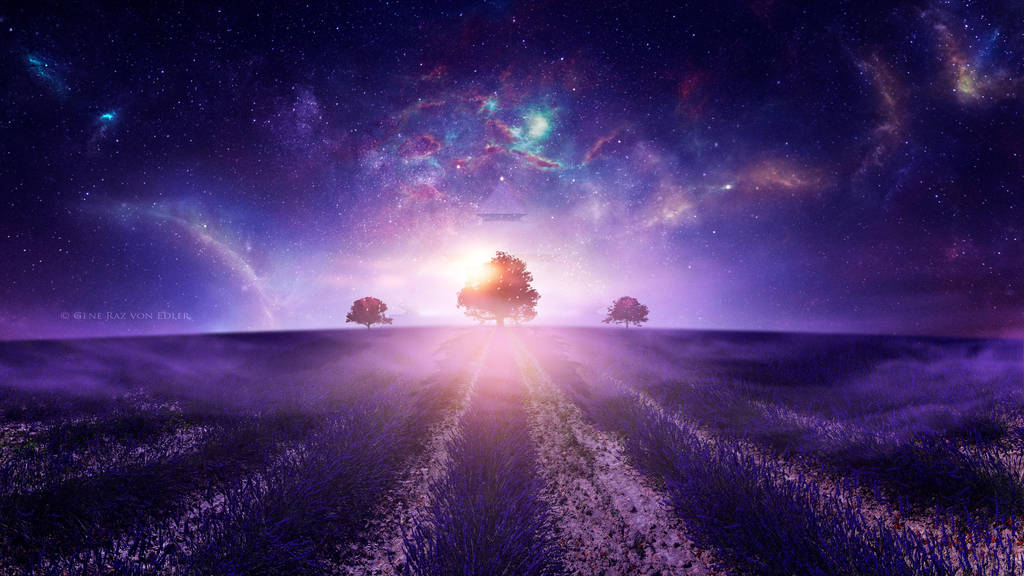 Field of dreams by Ellysiumn on DeviantArt