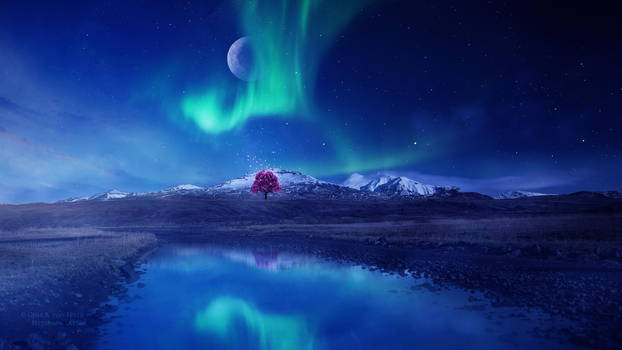 Tree of Awakening by Ellysiumn