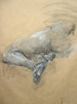 study of feet by laurenadams