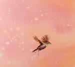 spring blossom - falling by laurenadams