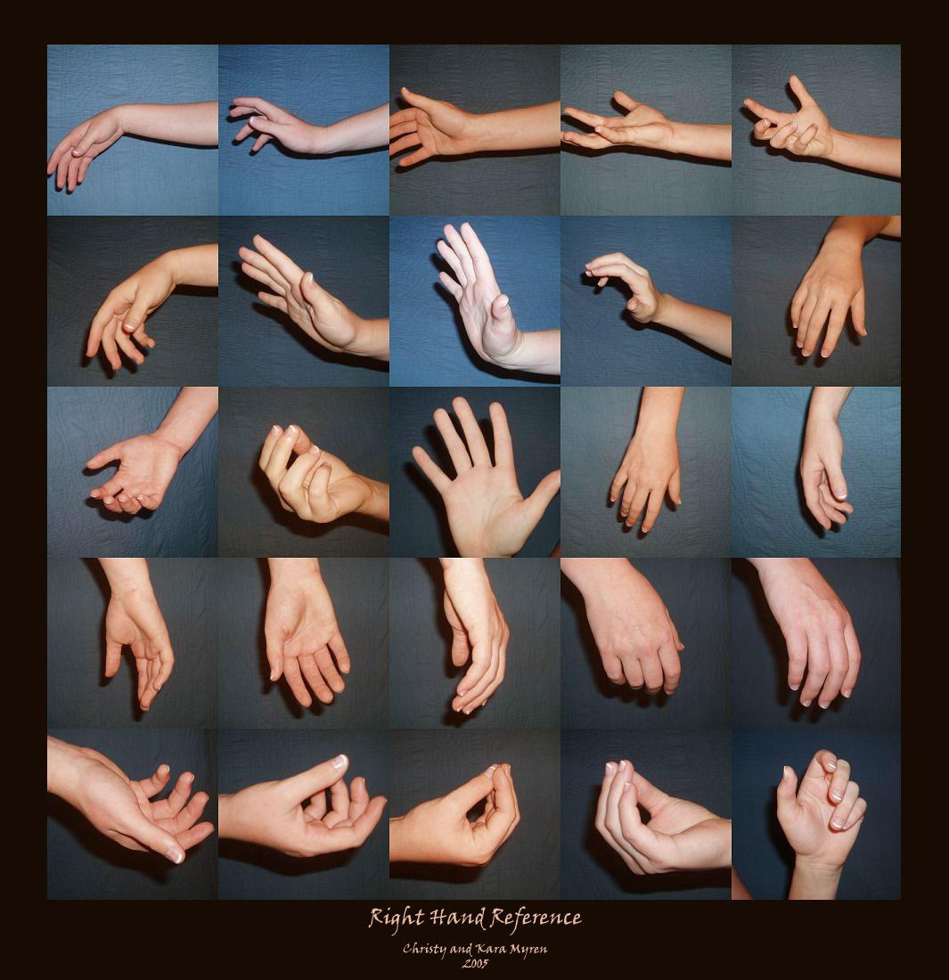 Right Hand - Reference by WindsweptSummer