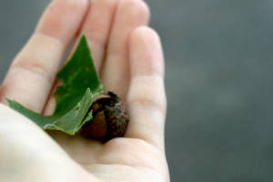 What Will stay by Cosdoll15