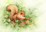 Happy Squirrel by ShannonValentine