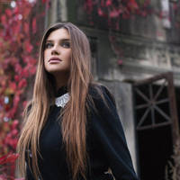 Elegant Decadence by Anhen