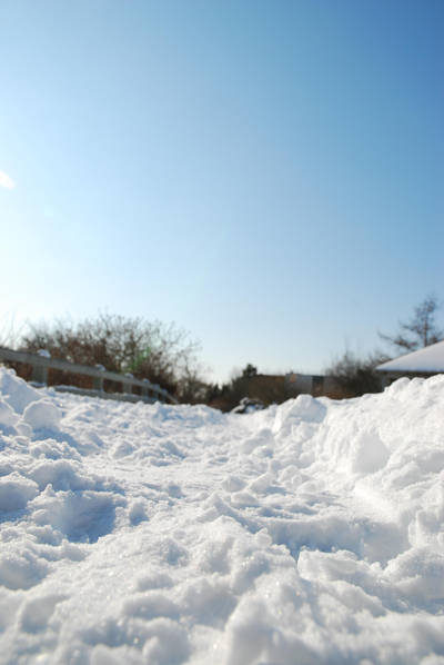 Snowy Afternoon II by carpesav-stock