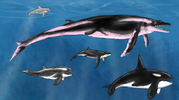 Archaeocetes and Paleowhales by Enneigard