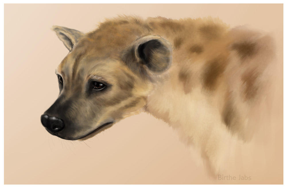 Hyena by Sinceredir