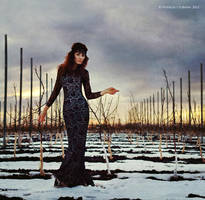 Willow by NataliaCiobanu