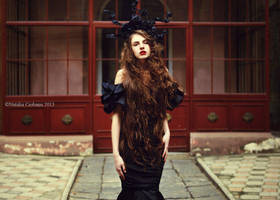 Black Rose by NataliaCiobanu