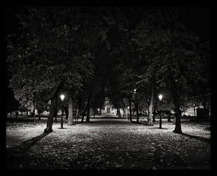 Ruttopuisto 2 by MichalTokarczuk
