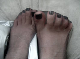 Feet in Stockings 1 by Foxy-Feet