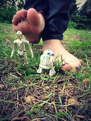 Star Wars Trample by Foxy-Feet