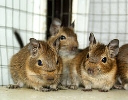 Young Ones by ilostmyusername