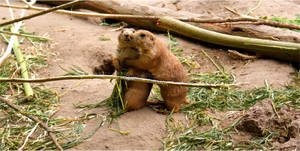 Hug by ilostmyusername