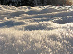 Landscape of frost by Castlemoor-stock