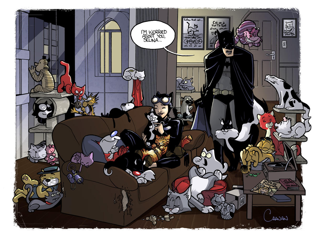 Catwoman the cat lady by caanantheartboy