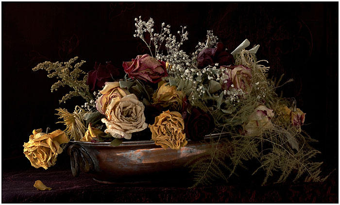DEAD FLOWERS IN HDR by THOM-B-FOTO