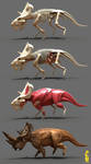 pachyrhinosaurus anatomy by epic3d