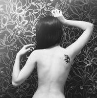 my birds... by vvola