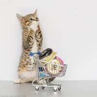 Oh nooo I forgot my money by hoschie