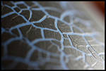 Structure by Marius12