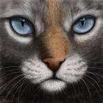 Blue. by house89