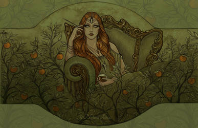 Blood Orange by NatasaIlincic